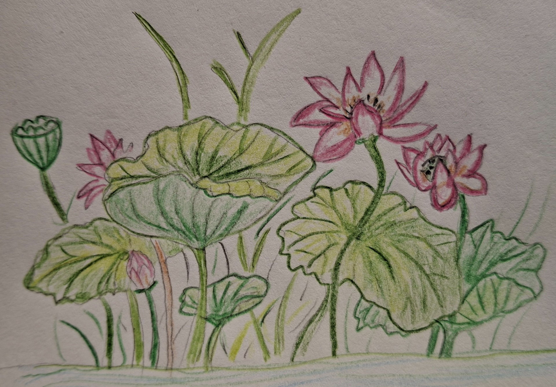 如梦令, 李清照 